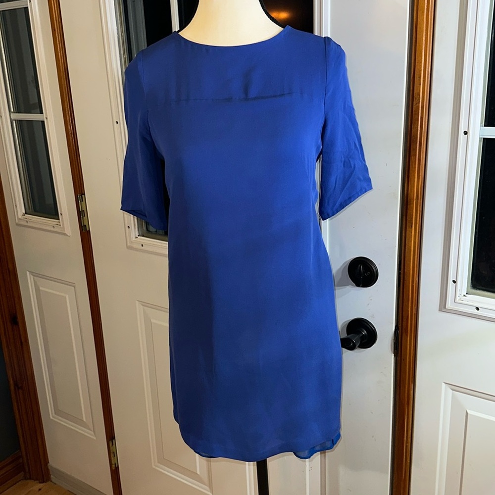 Babaton Silk Mini Dress